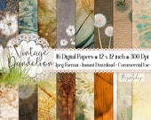 16 Antique Gorgeous Dandelion Seeds Digital Papers 12x12 quot 300 dpi commercial use instant download peacock vintage ephemera Printable Journal