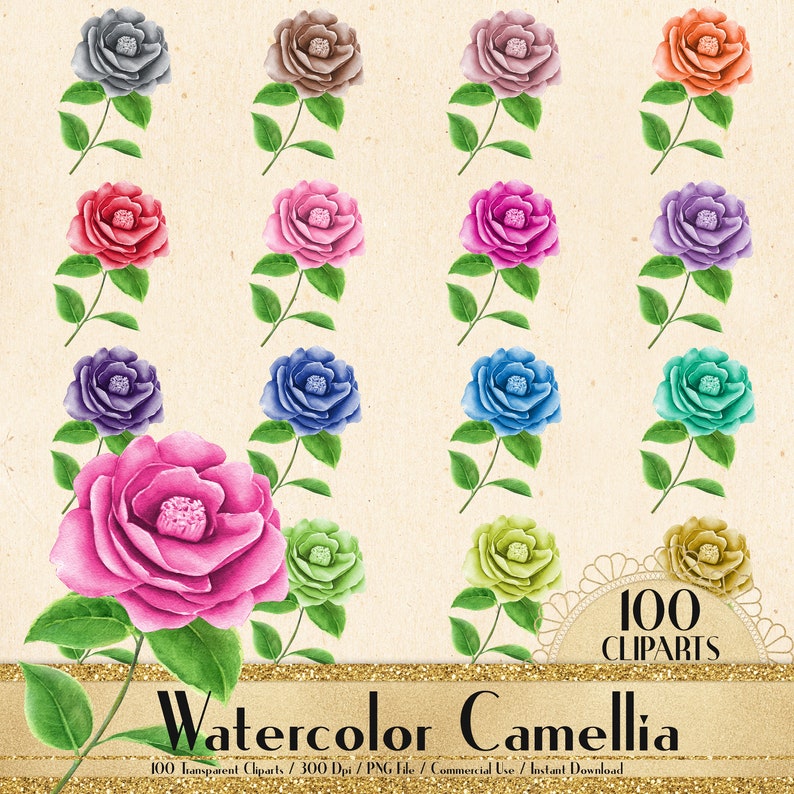 100 Watercolor Camellia Flower Clipart, Flower Clipart, Watercolor Clipart, Planner Clipart, Floral clipart, Garden Clipart, Bridal Shower image 1