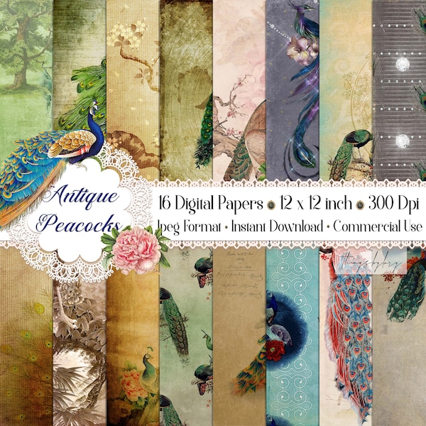 16 Antique Gorgeous Peacock Digital Papers 12x12" 8.5x11" 300 dpi commercial use instant download Chinese peacock vintage ephemera Journal
