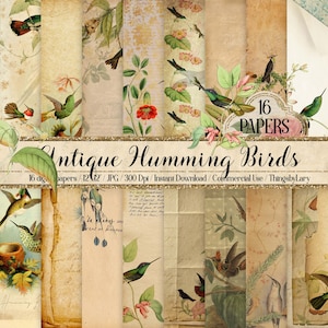 16 Antique Humming Birds Digital Papers 12" 300 dpi commercial use téléchargement instantané vintage éphémères oiseaux et fleur Trochilidae Nature JPG