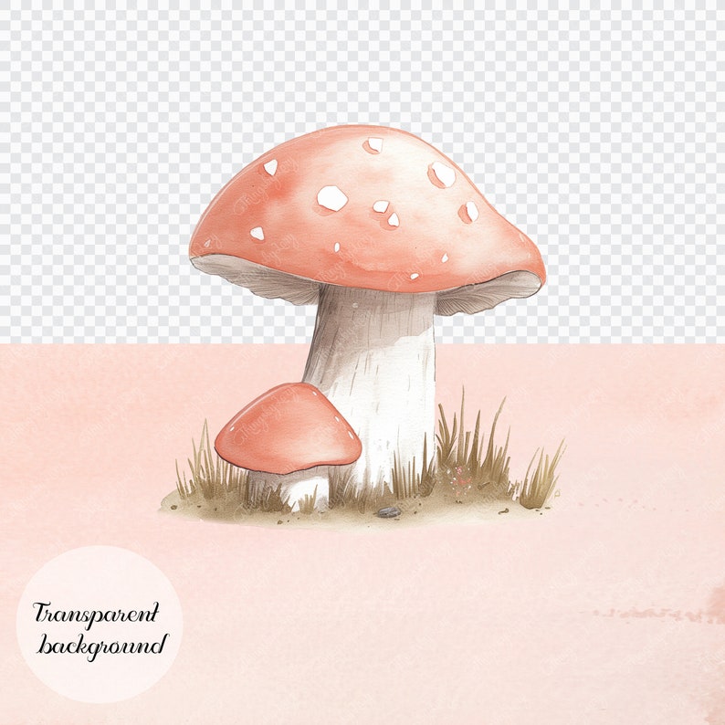 80 aquarel bos bos dieren PNG Clip Arts commercieel gebruik pijnbomen egel wilde bloemen paddestoelen lieveheersbeestje specht stream robin afbeelding 2