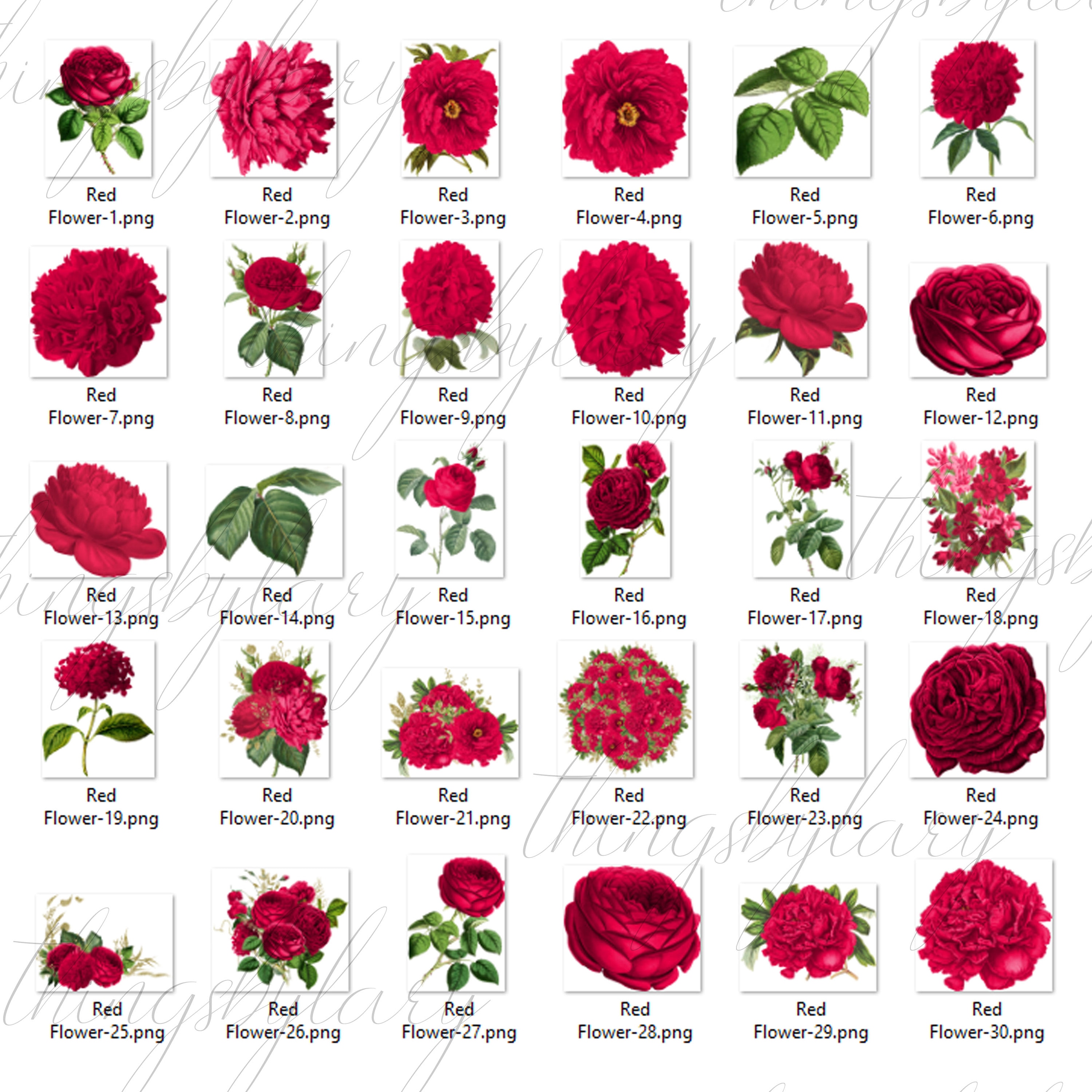30 Red Flowers Digital Images PNG 300 Dpi Instant Download