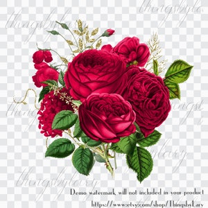 30 Red Flowers Digital Images PNG 300 Dpi Instant Download Commercial Use Bridal Shower Wedding Flower Rose Branch Peony Antique Old Bouquet image 2