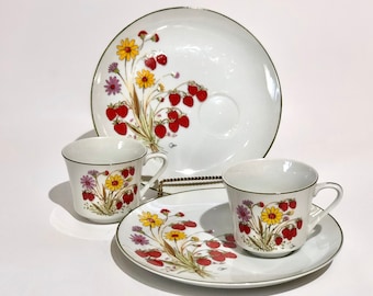 Vintage Saltera Strawberry Garden Snack Set: Retro Floral Cup & Plate