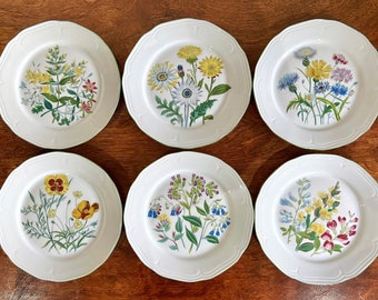 Beautiful Set of Six Botanicals/Wild Flower Plates by Bareuther Waldsassen Made in Bavaria Germany Farmhouse Kitchen Country Decor