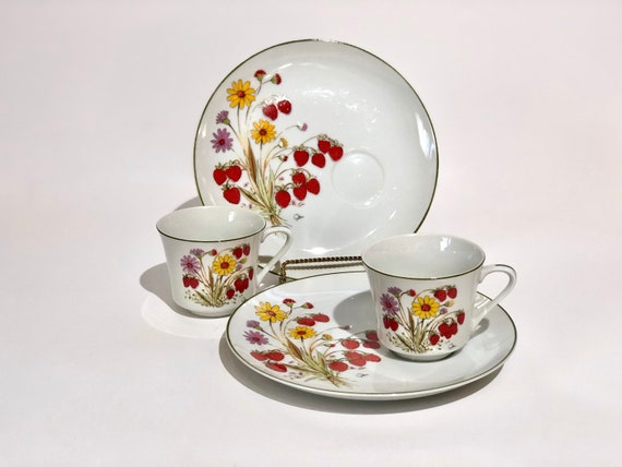 Vintage Saltera Strawberry Garden Snack Set: Retro Floral Cup