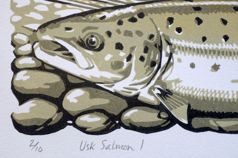 Usk Salmon I