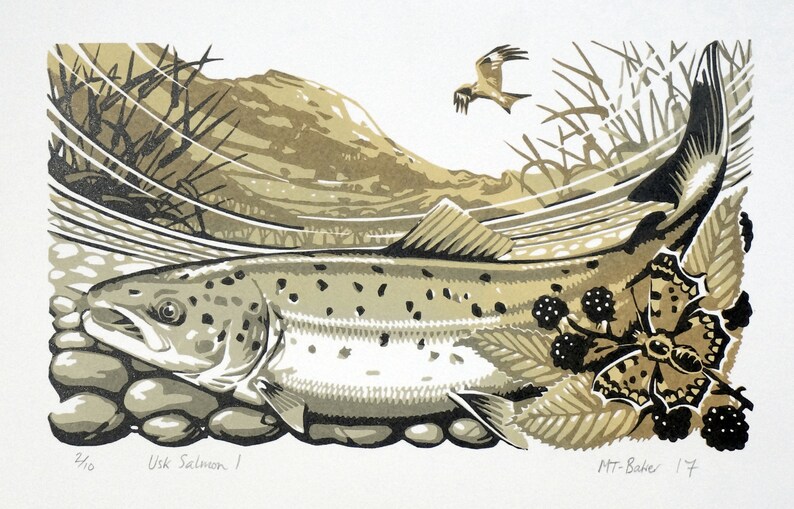 Usk Salmon I