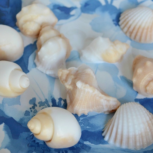 SEASHELL SOAP SET (10) Beach Party Favors Shell Shaped Soaps Beach Wedding Nautical Favors Mermaid Baby Shower Mini Favor Ocean Themed Gift