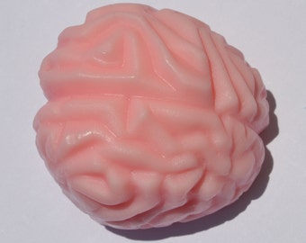 BRAIN SHAPED SOAP, Gag Gift, Nurse Gift, Surgeon Gift, Doctor, Medical School Graduate Party Favors, Halloween Soap, Mad Scientist, Nerdy