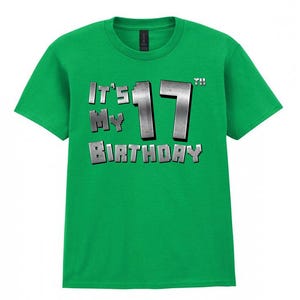 Es ist mein 17 Geburtstag T-Shirt, Gaming T-Shirt 17 Jahre alt, tolles Geschenk