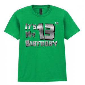 Es ist mein 13. Geburtstag-T-Shirt, Gaming-T-Shirt 13 Jahre alt, tolles Geschenk