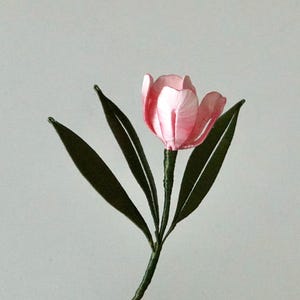 May include: A delicate pink tulip flower with green leaves and stem. The flower petals are a soft pink, and the leaves are a deep green. The stem is a dark green, and the flower is set against a plain background.