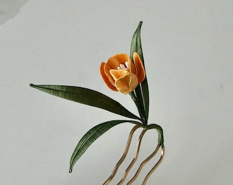 La primera esperanza de la primavera 2 - Horquilla de tulipán dorado - flores envueltas a mano