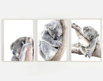 Baby Koala Print Set , Digital Download, Australia Neutral Nursery Decor Wall Art, Kids Room, Cute Animals, Peekaboo Baby, Wall Art