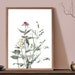 see more listings in the Botanical Prints section