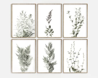 Botanical Print Set of 4 Farmhouse Printable Wall Art | Etsy