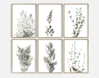 Botanical Print Set of 6 Digital Downloads, Wild Flowers Prints, Farmhouse Printable Wall Art, Gallery Printables, Organic Home Decor