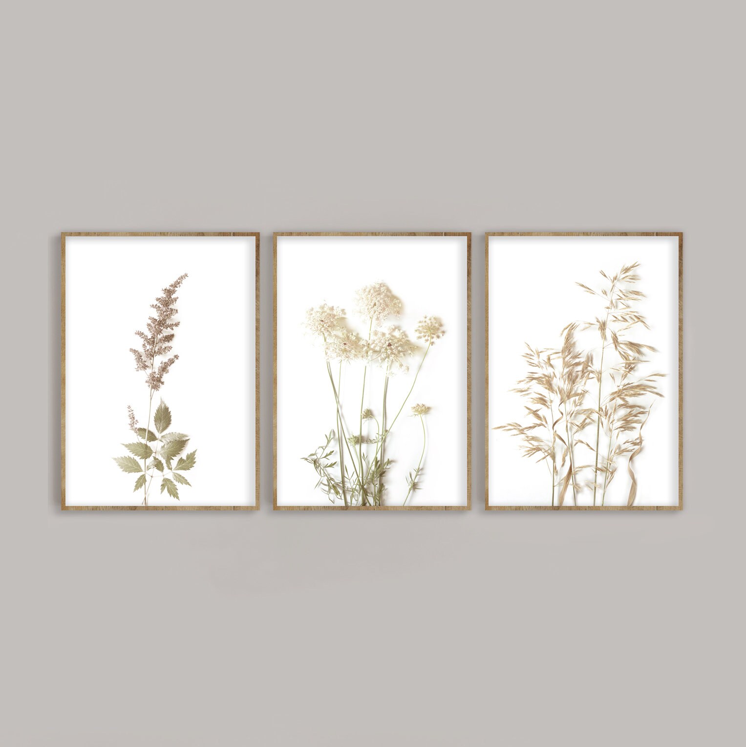 Botanical Print Set of 3 Wild Flowers Prints Farmhouse - Etsy