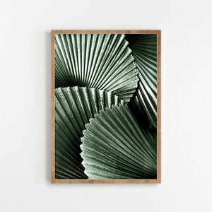 Impression téléchargement numérique feuilles de palmier, affiche imprimable feuille tropicale verte, estampes d'art mural moderne plage, décoration DIY bio, botanique