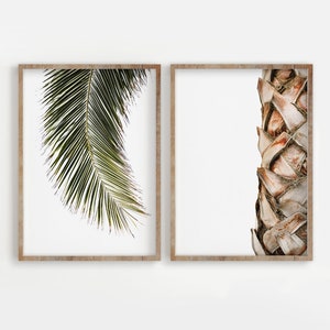 May include: Two framed prints of palm tree details. The left print shows a close-up of a green palm frond. The right print shows a close-up of the brown, woven trunk of a palm tree.
