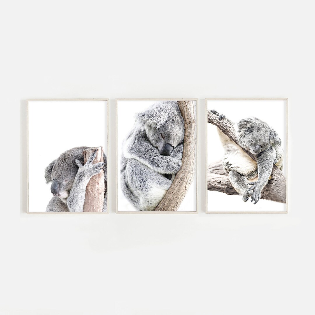 Baby Koala Print Set , Digital Download, Australia Neutral Nursery ...