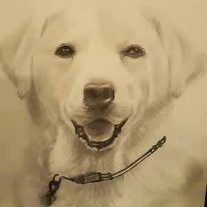 Custom Drawing From Picture