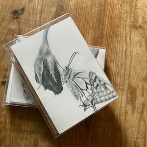 Pack de cartes printanières