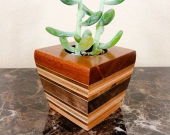 Desktop Planter - Etsy