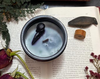 Nevermore Candle, Edgar Allen Poe Candle, The Raven Poe, Gift for Readers, Bookish Soy Candle, Dark Academia Candle, Dark Academia Decor,