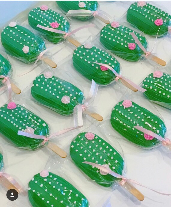Cactus Cakesicles Etsy Cactus Cakesicles Etsy
