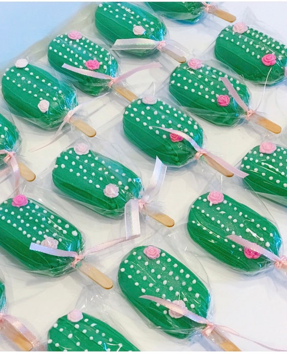 Cactus Cakesicles Etsy Cactus Cakesicles Etsy