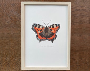 Stunning illustrated Swallowtail butterfly print