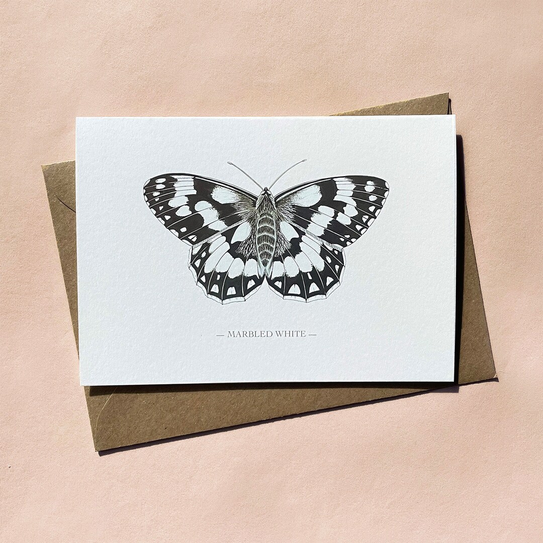 Marbled White Butterfly Greeting Card: Illustrated Blank Card - Etsy