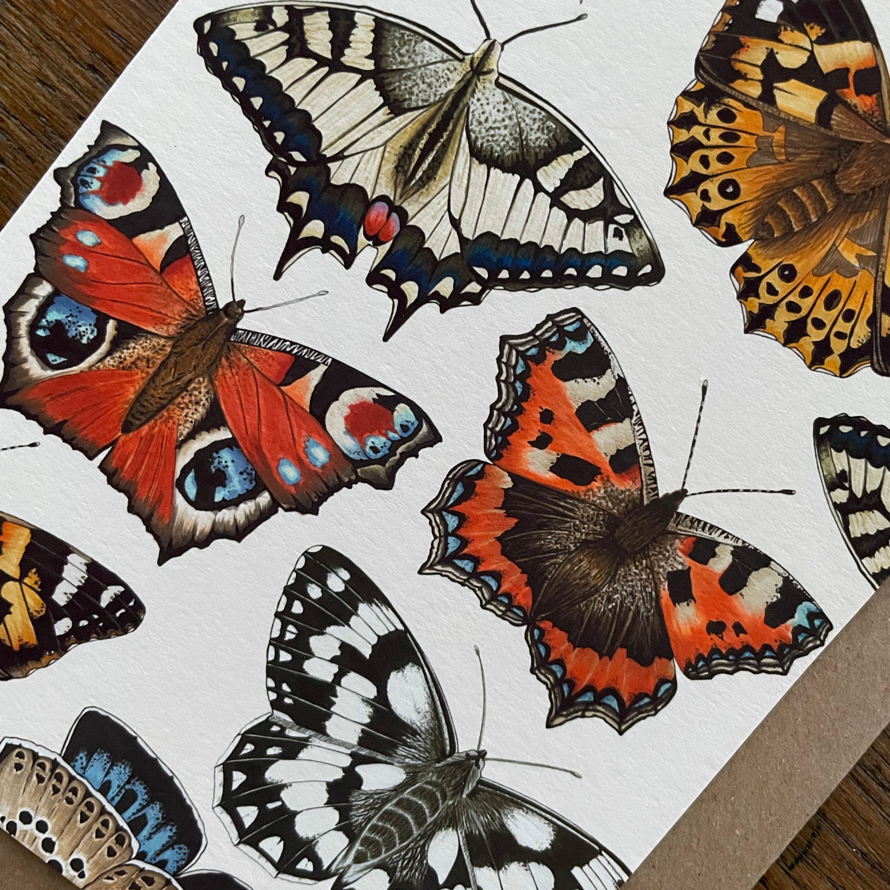 Butterfly Illustrated Greeting Card: Blank Inside, Kraft Envelope - Etsy