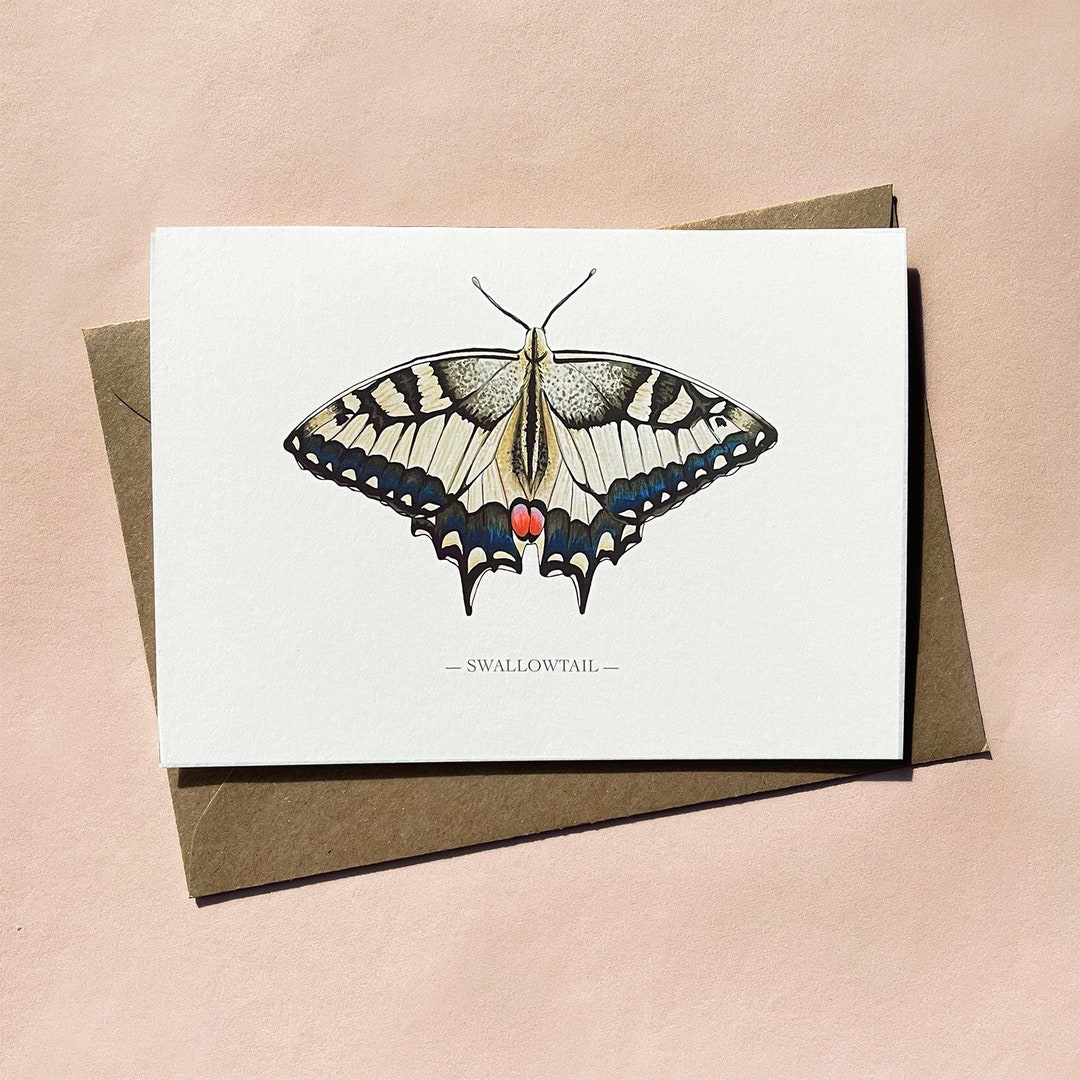 Swallowtail Butterfly Illustrated Greeting Card With Kraft Envelope - Etsy