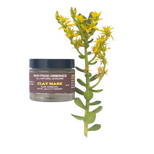 Facial Clay Cleansing Mask,  Aloe/ Charcoal/Royal Jelly/ Turmeric / normal to oily skin, Natural Skincare|Spa Gift|Vegan