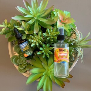 K&ouml;nnte beinhalten: Zwei kleine Glasflaschen mit Etiketten f&uuml;r Skin Food Organics Vitamin C Serum und Gesichtswasser. Die Flaschen stehen in einer wei&szlig;en Schale mit gr&uuml;nen Sukkulenten.