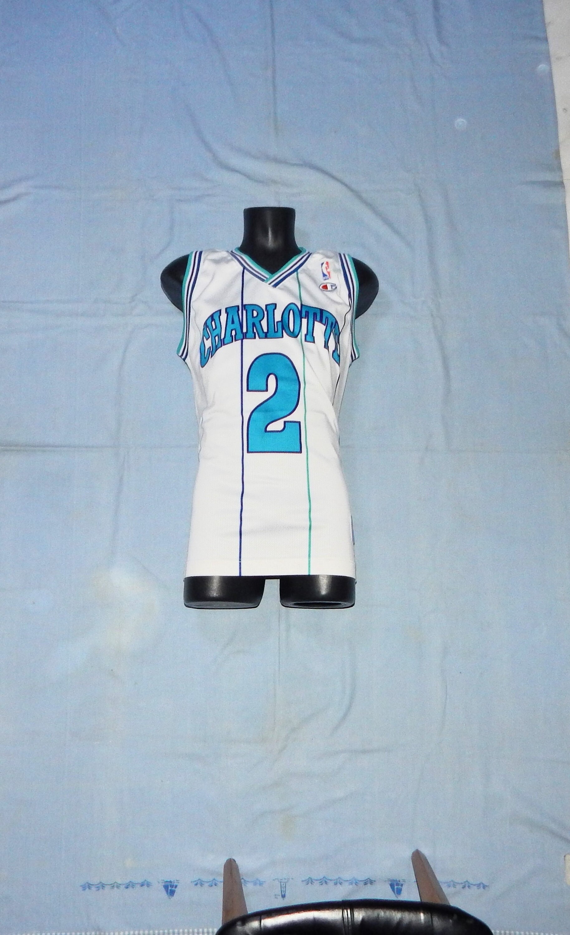 Charlotte Hornets Larry Johnson Vintage 90s Champion USA NBA