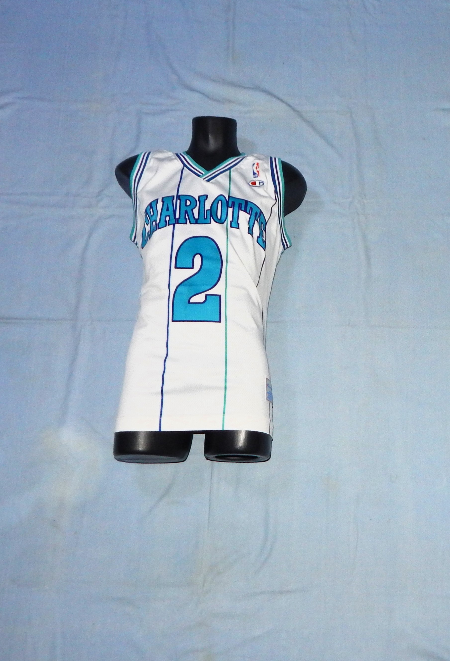 Charlotte Hornets Larry Johnson Vintage 90s Champion USA NBA