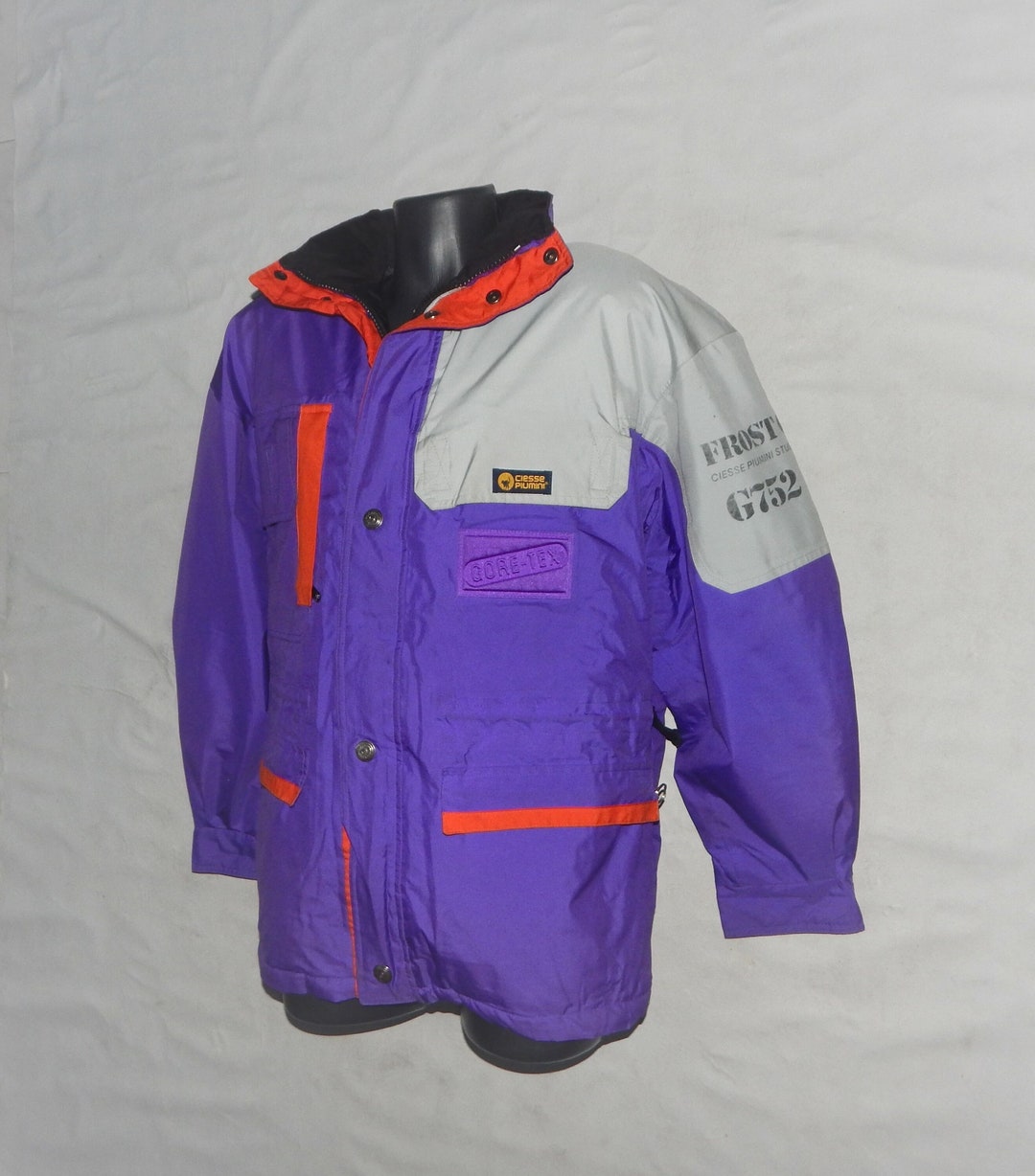 CIESSE PIUMINI Vintage 90s Mens Gora-tex Snowboard/ski Down Jacket