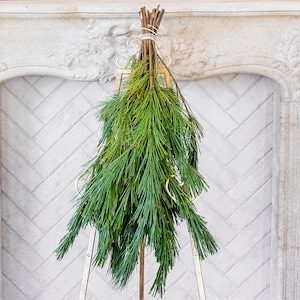 May include: A bundle of fresh green pine branches tied together with light-colored twine at the top. The pine needles are long, slender, and vibrant green, hanging downward in a natural cluster. The stems are woody, brown, and gathered tightly.