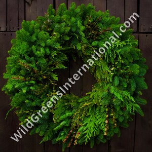 Green Mountain, Fresh Noble fir, Fresh Western Red Cedar, Red huckleberry, Holiday Wreath, Fresh Wreath, Door Wreath, Hanging Wreath.