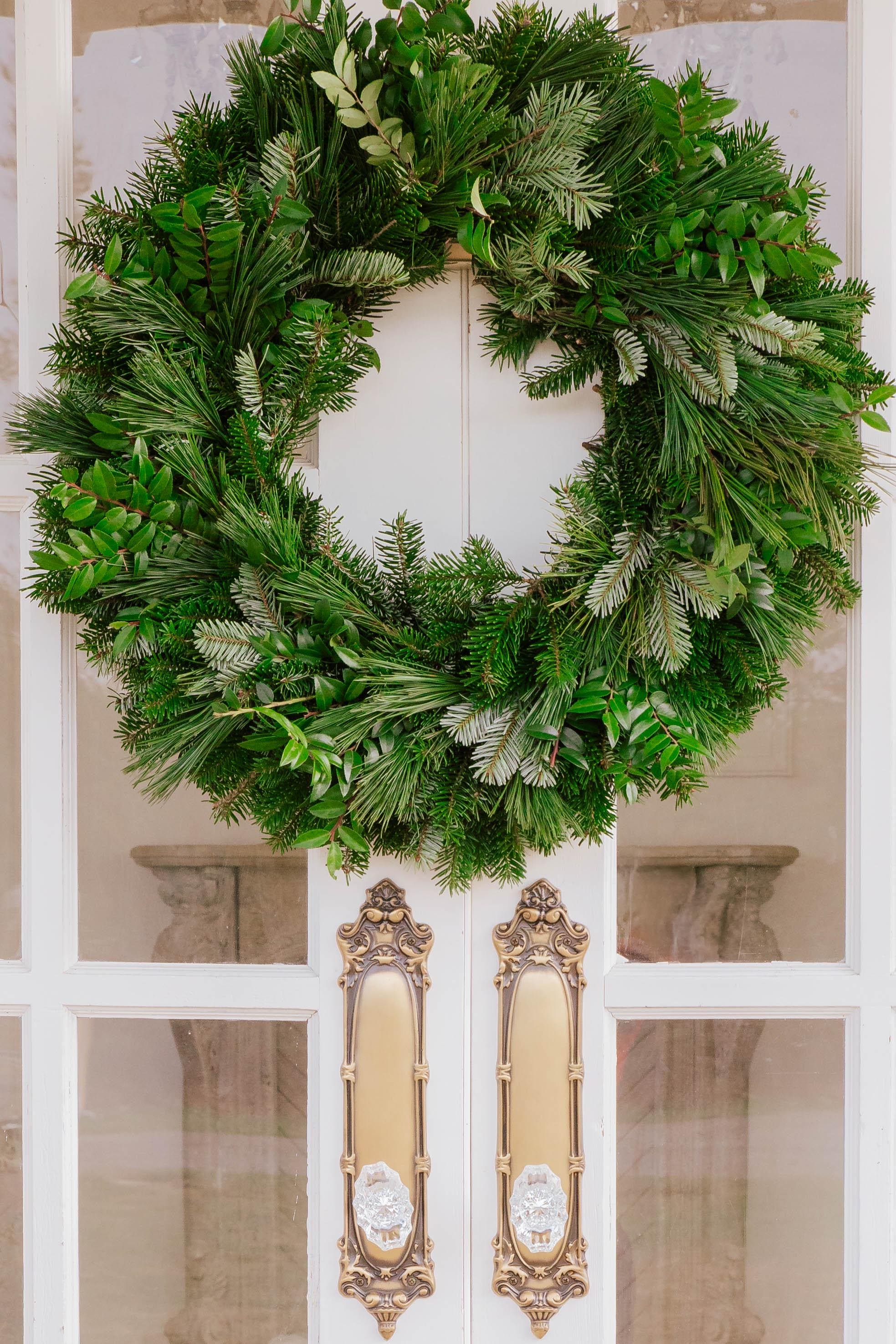 Forest Treasure. Nordmann Fir, Princess Pine, Green Huckleberry,holiday ...