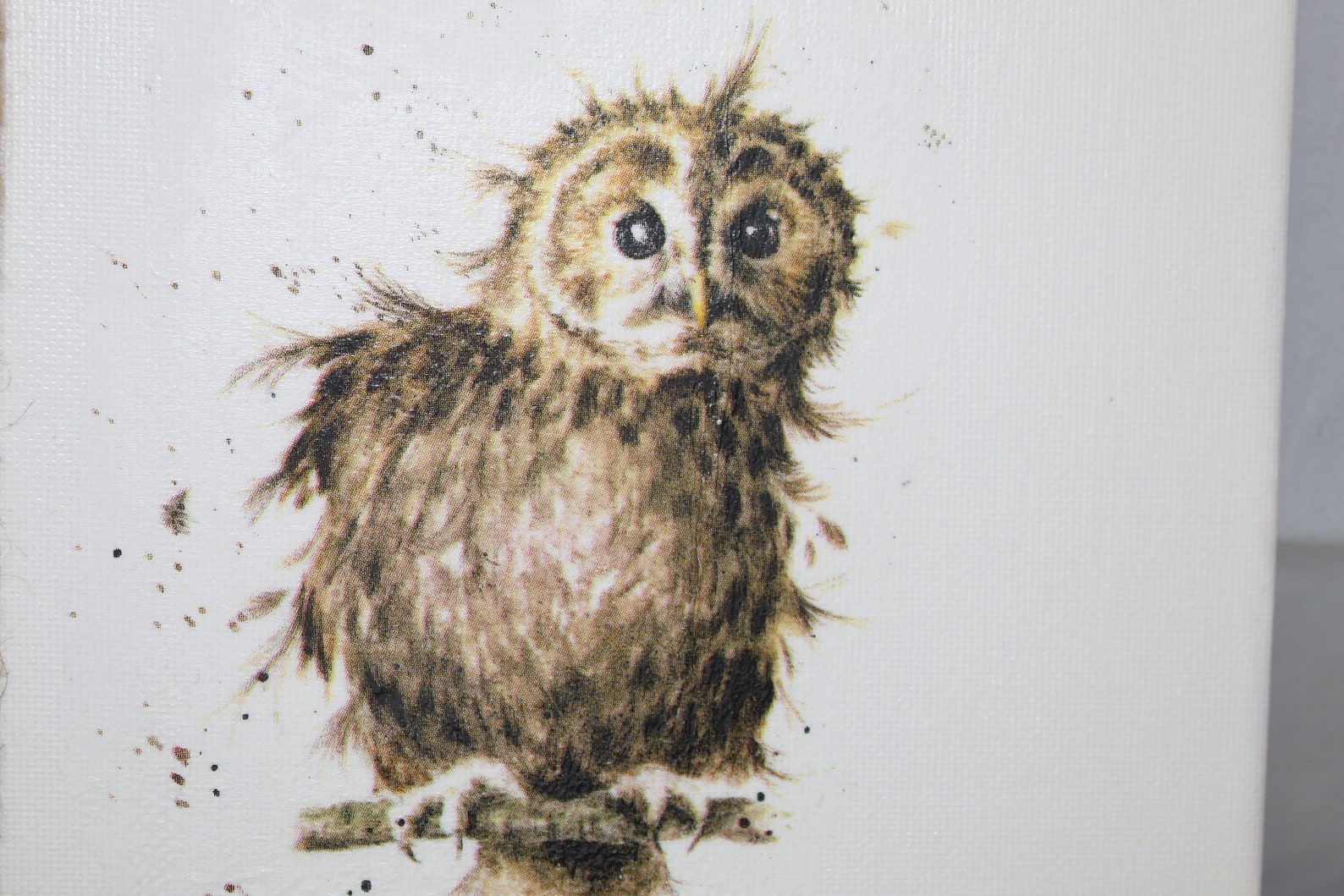 Wrendale Designs - Stampa Su Tela Quadrata 20x20 Cm Con Animali Del Bosco - Design Di Hannah Dale