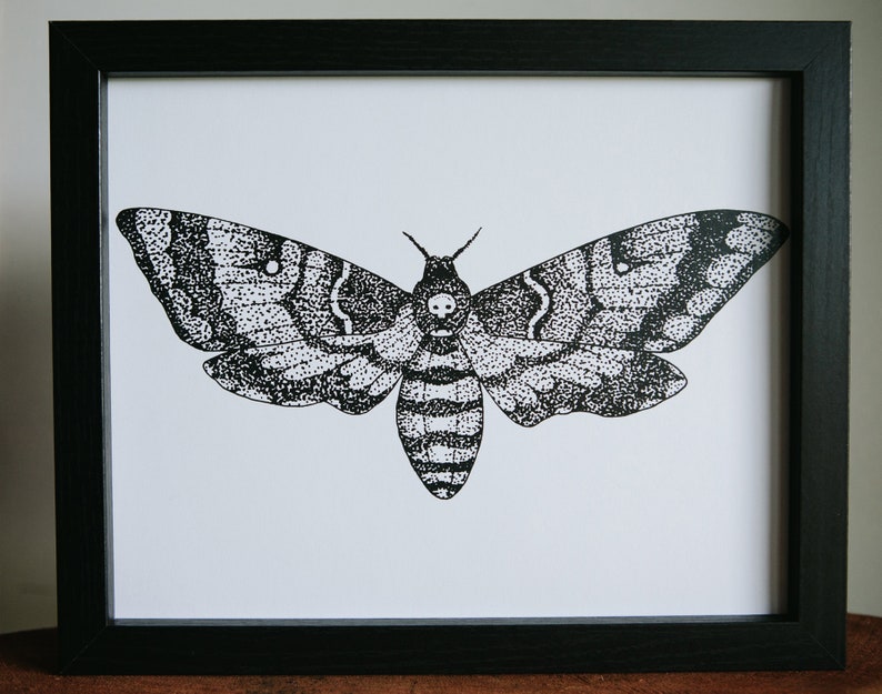 Death's Head Moth Print | Etsy