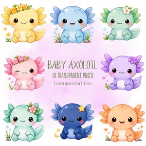 K&ouml;nnte beinhalten: Neun Illustrationen von niedlichen Baby-Axolotln in verschiedenen Farben, jeweils mit floralen oder sternf&ouml;rmigen Verzierungen. Der Text "BABY AXOLOTL" und "18 TRANSPARENT PNG'S Commercial Use" ist ebenfalls enthalten.