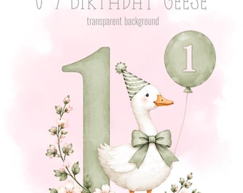 Sage Birthday Geese, 1-9 PNG, Little Geese, Sublimation Design, Silly Goose Clipart, Trending Silly Goose, Instant Digital Download