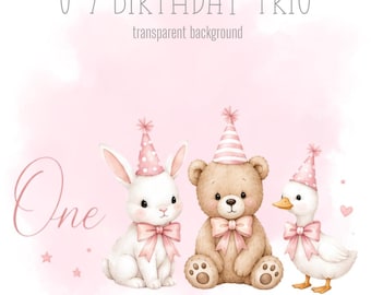 Pink Birthday Trio, 1-9 PNG, Little Bear, Rabbit and Goose, Sublimation Design, Sweet animal Clipart, Trending, Instant Digital Download