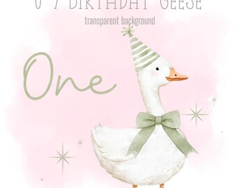 Green Birthday Geese, 1-9 PNG, Little Geese, Sublimation Design, Silly Goose Clipart, Trending Silly Goose, Instant Digital Download
